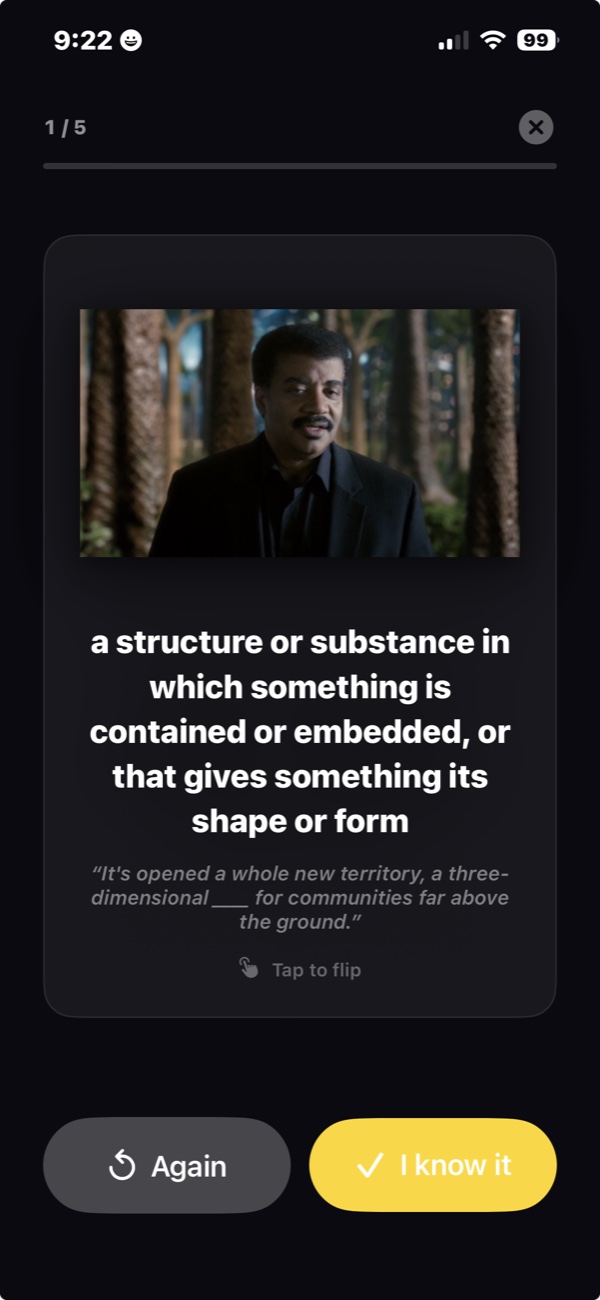 Scene review flashcard on iPhone